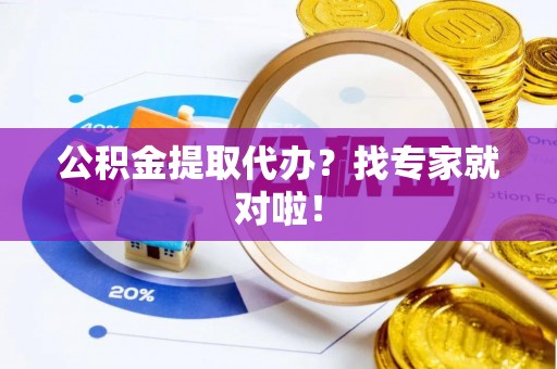 汝阳公积金提取代办？找专家就对啦！